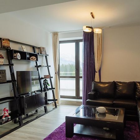 Apartmán Panoramic Loft Colina Marei Sinaia Exteriér fotografie