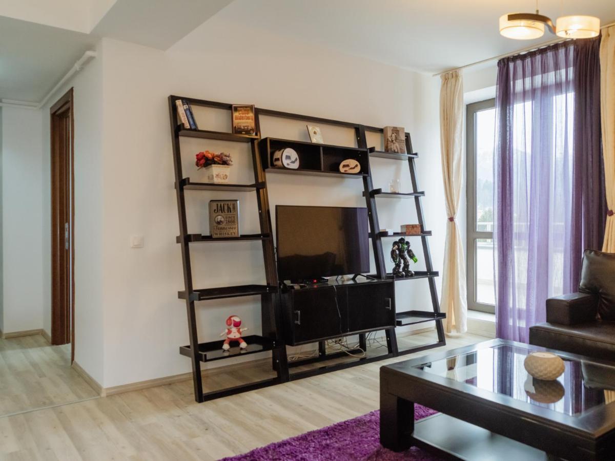 Apartmán Panoramic Loft Colina Marei Sinaia Exteriér fotografie