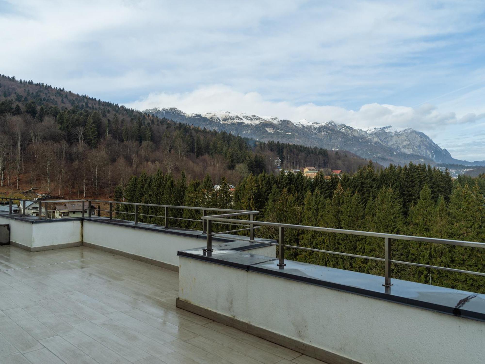 Apartmán Panoramic Loft Colina Marei Sinaia Exteriér fotografie